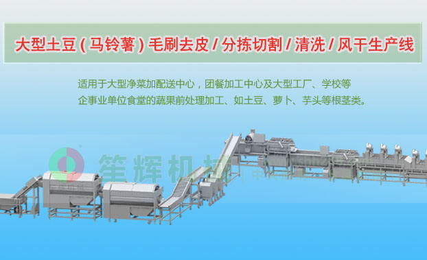 双塔连续式土豆去皮清洗切割风干生产线